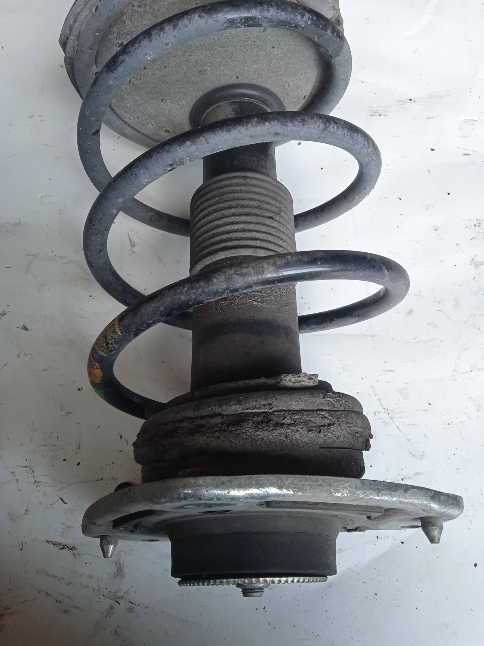 Ammortizzatore ant. sx.